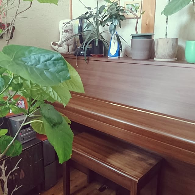 Kosuyaさんの実例写真
