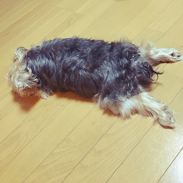 marcheさんの実例写真