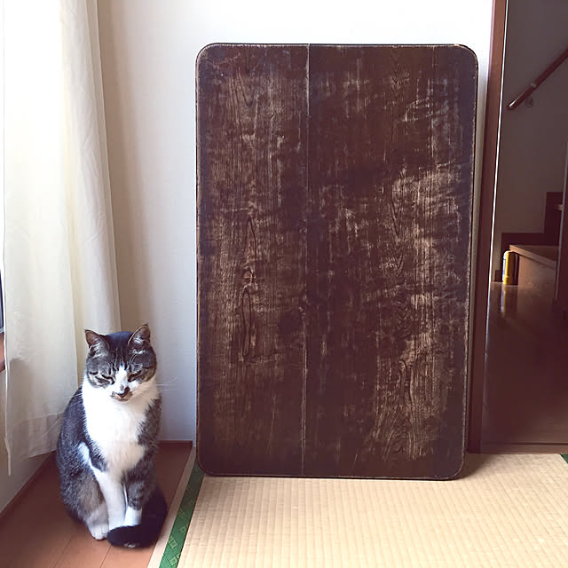 JUENさんの実例写真