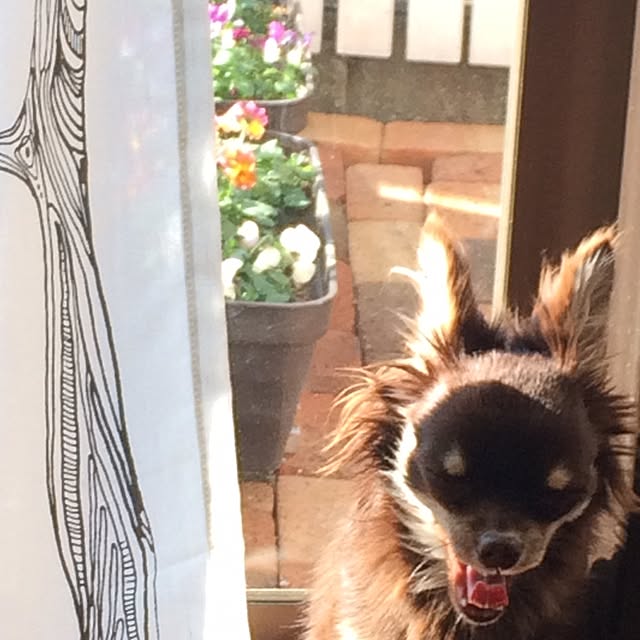 takaさんの実例写真