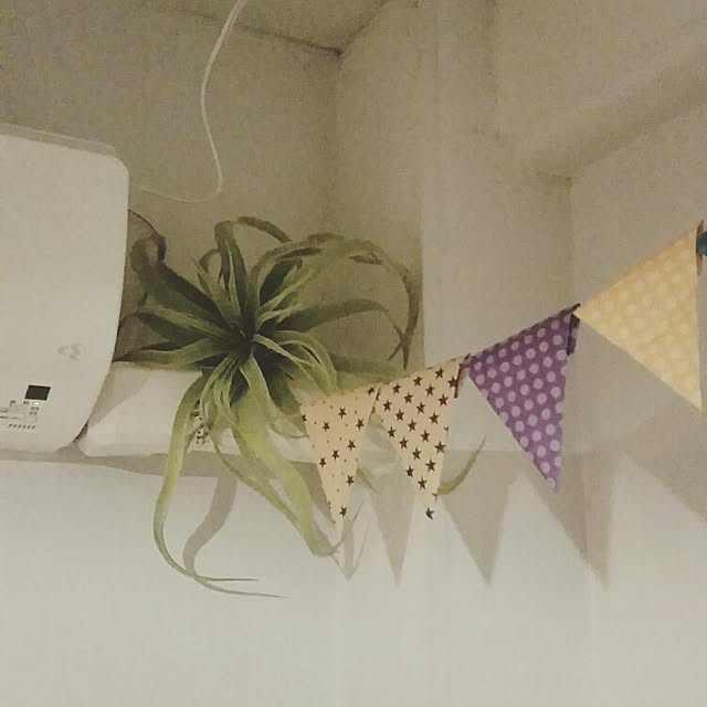 mikijunさんの実例写真