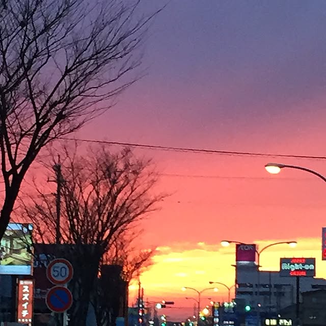 minkokoさんの実例写真