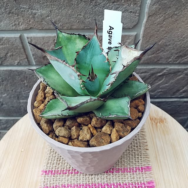 meiさんの部屋