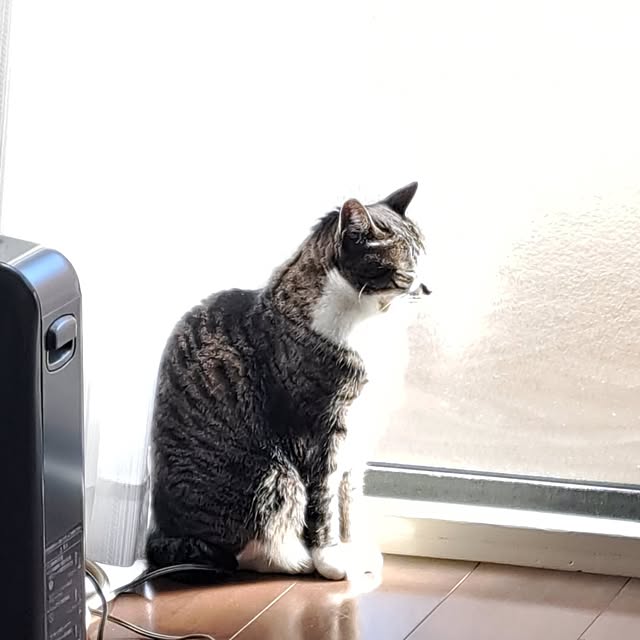 shinoさんの部屋