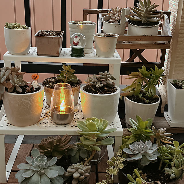 ruuuさんの実例写真