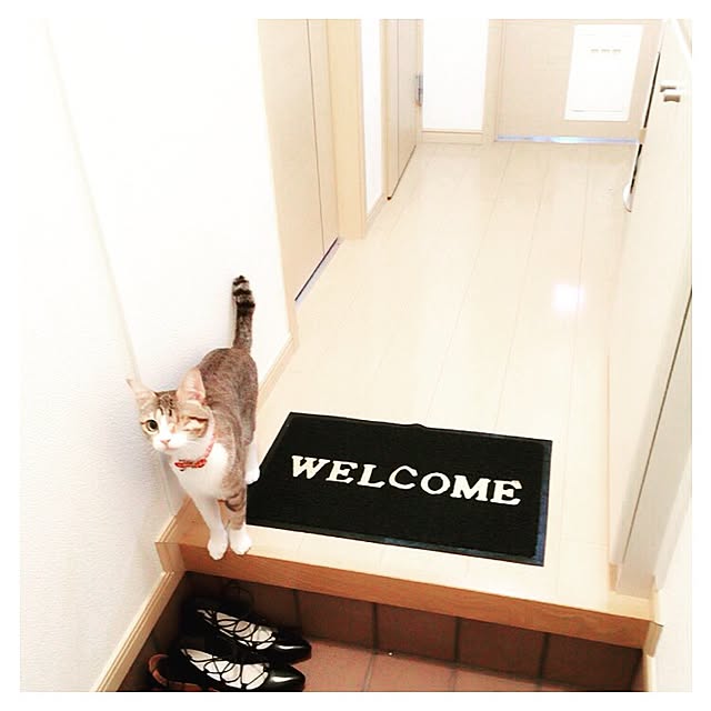 chiroさんの実例写真