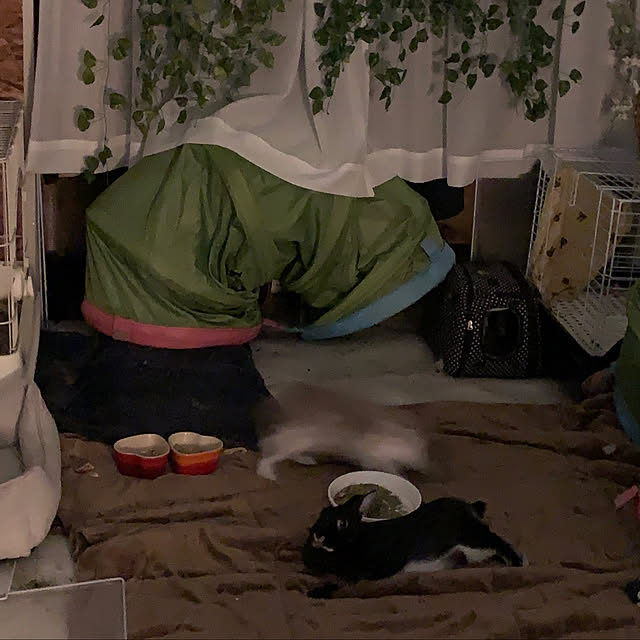 nextagejpnさんの実例写真