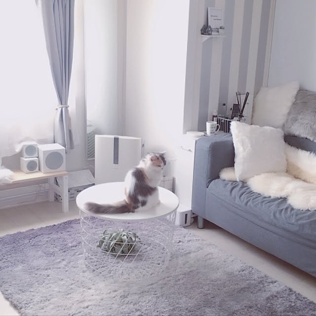 mikaさんの実例写真
