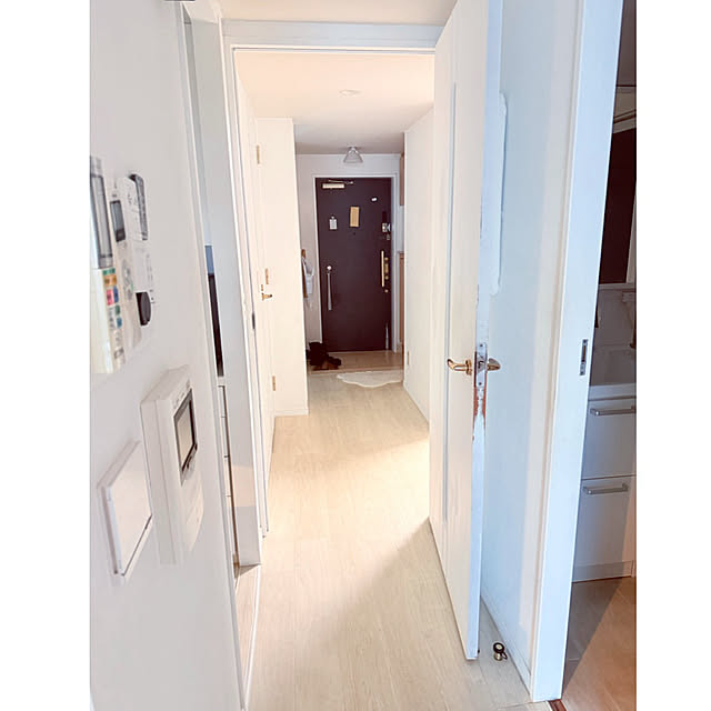 funiさんの実例写真