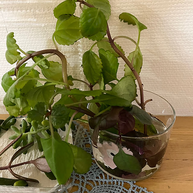 YuuKoさんの部屋