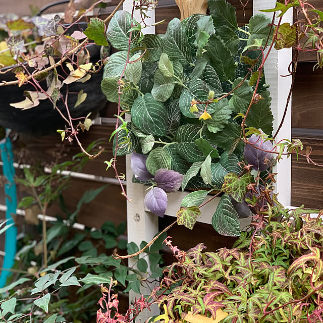 masakoさんの部屋