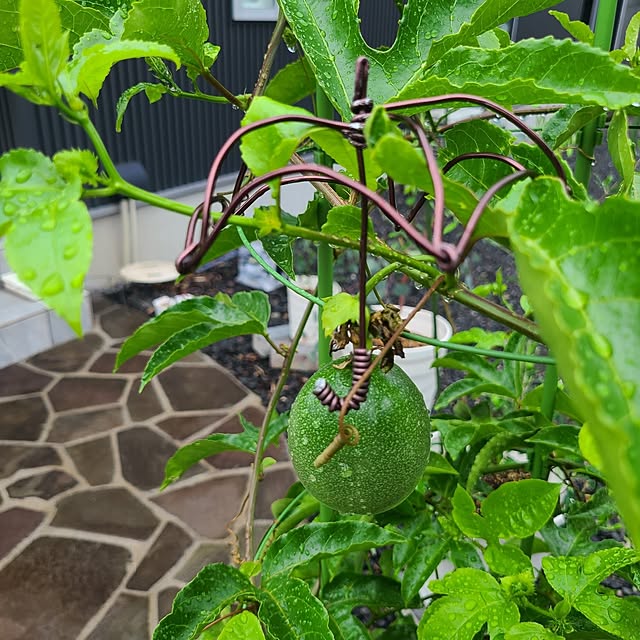 Rubiconさんの部屋