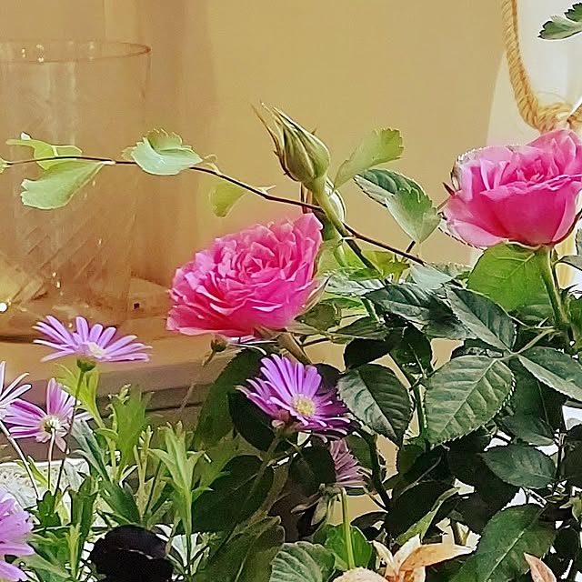 mayuroseさんの部屋