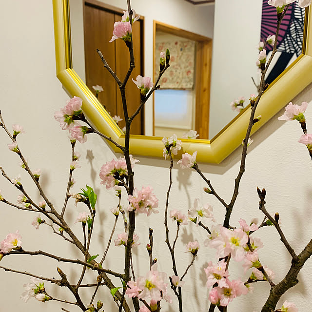 lalalaさんの部屋