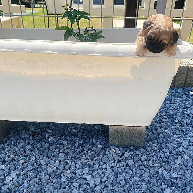 smileさんの実例写真