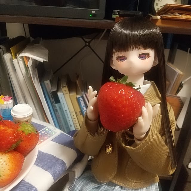 TORIGAI_2023.04さんの実例写真