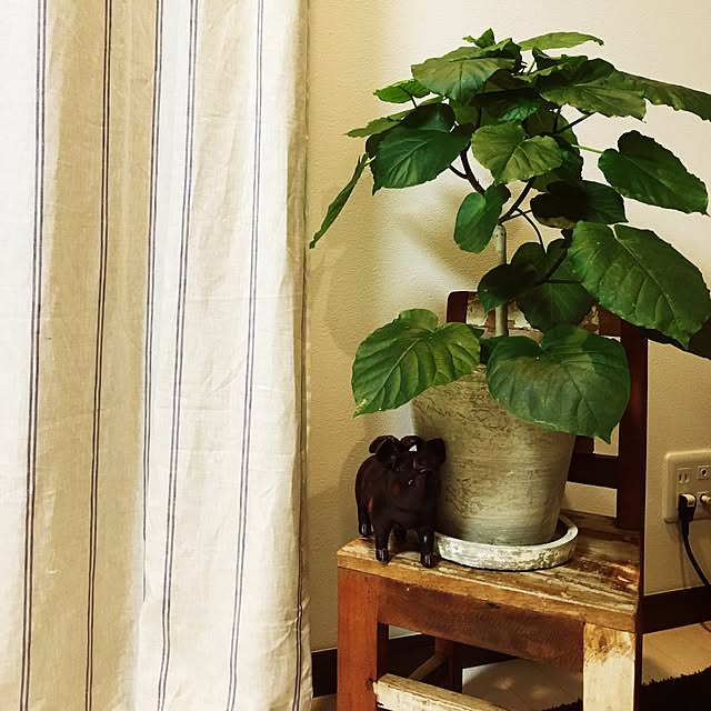 elelmotakeさんの実例写真