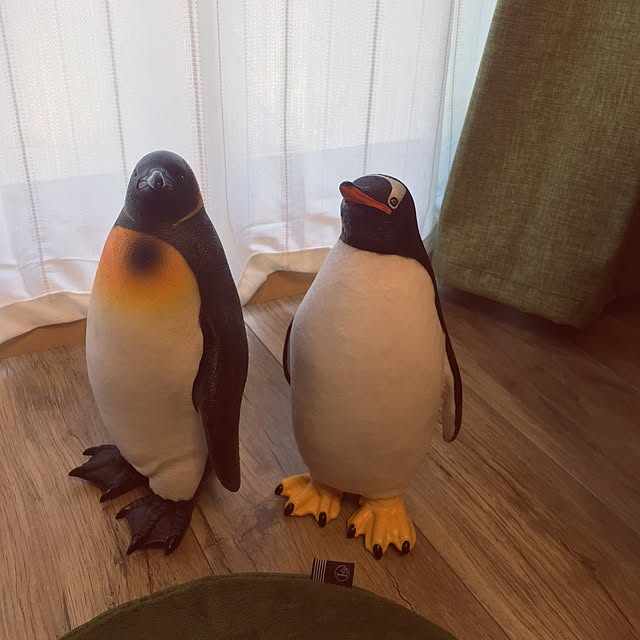 My365さんの実例写真