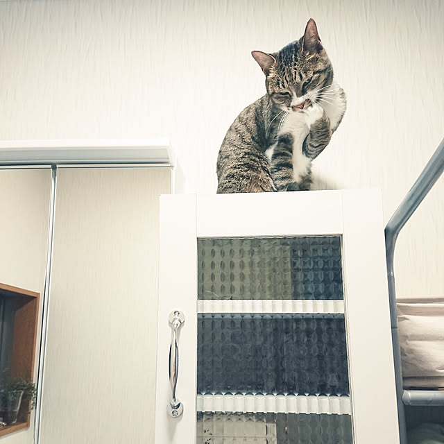 nachiさんの実例写真