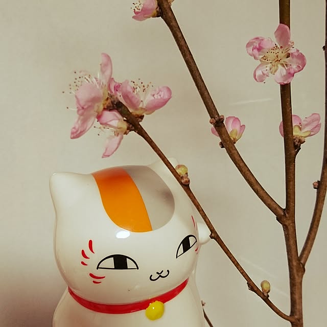 guriさんの実例写真