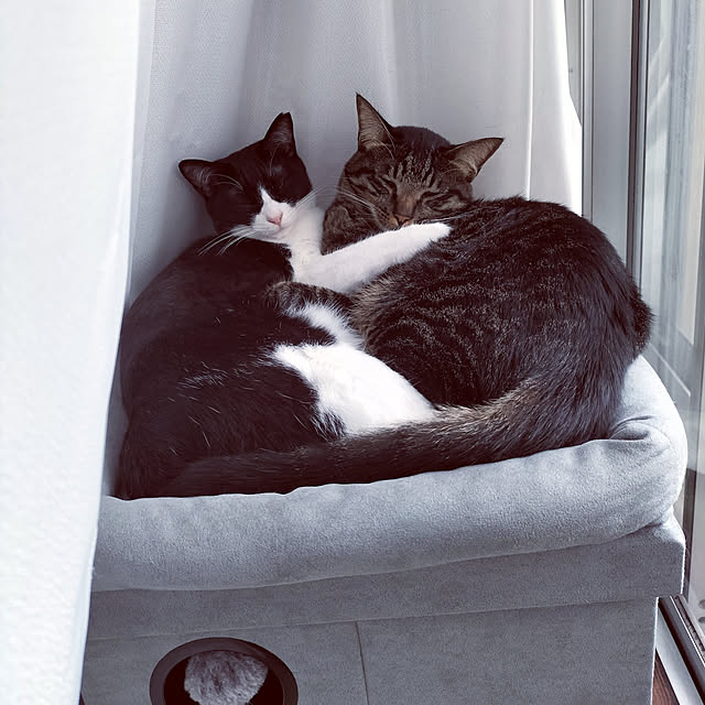 hihaさんの実例写真