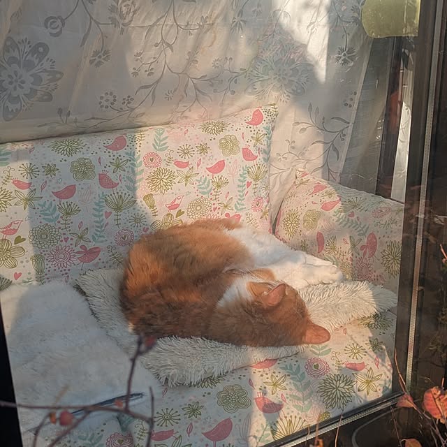 mori_6_12さんの部屋