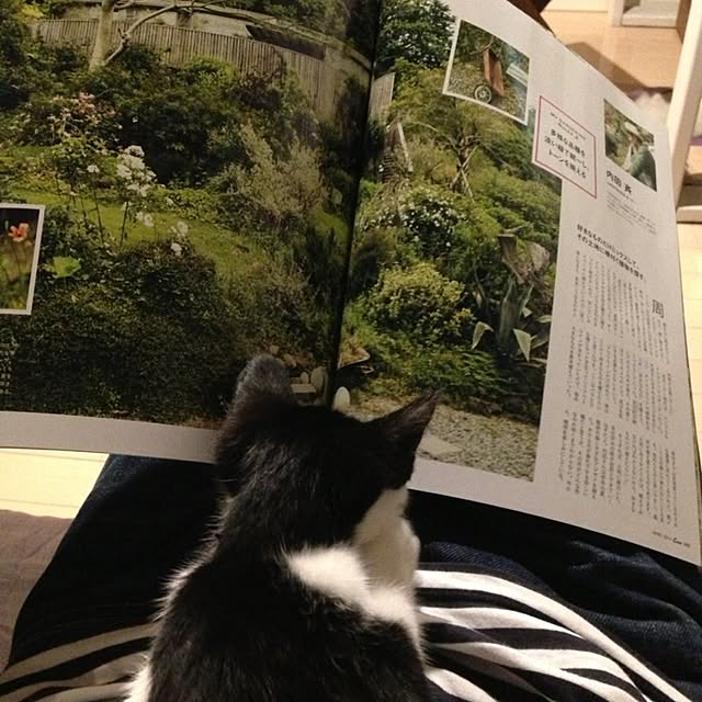 ziziguguさんの実例写真