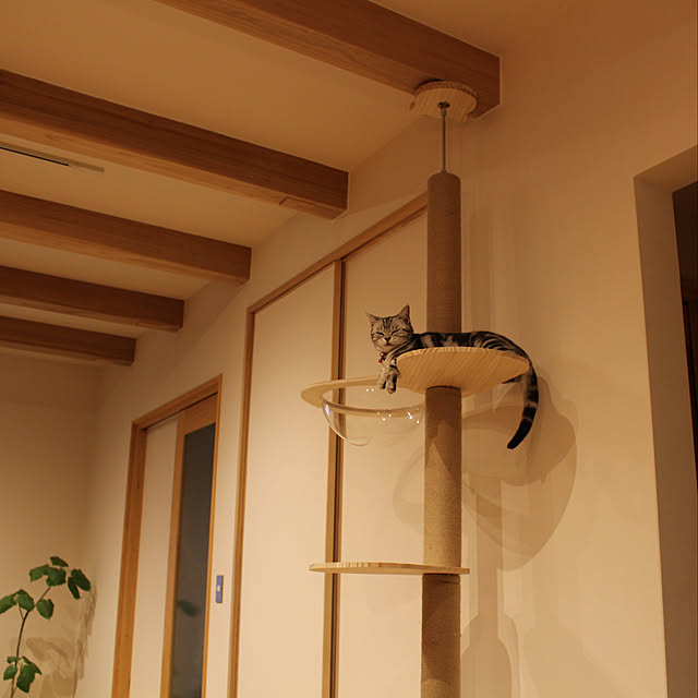 Aさんの実例写真