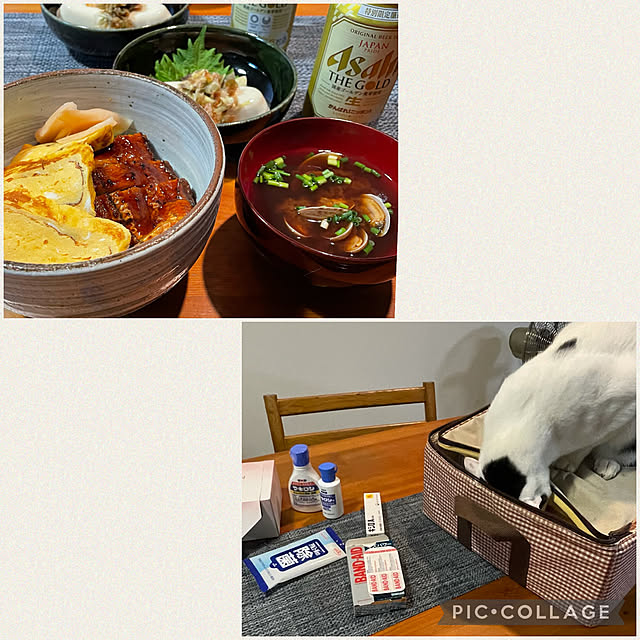 nobikoさんの実例写真