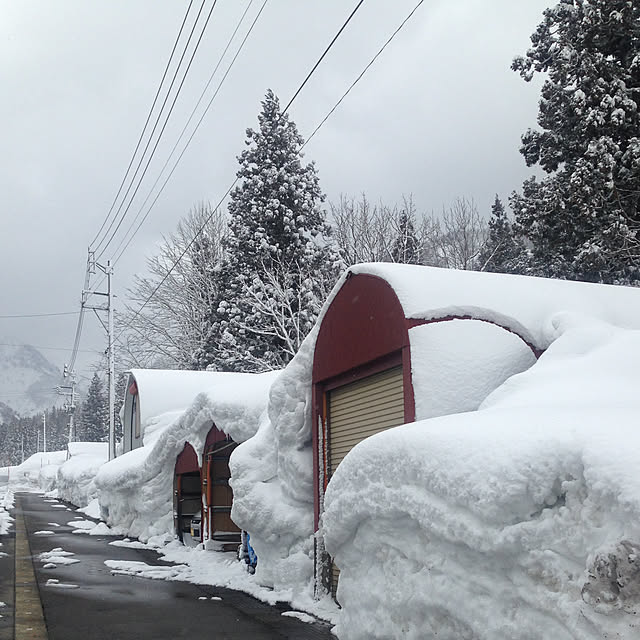 aoinokimiさんの実例写真