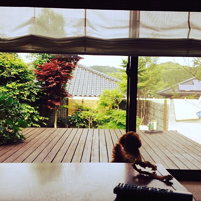 aykm.572さんの実例写真