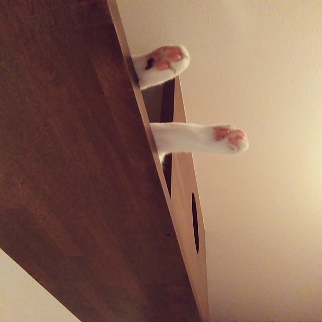 futukoさんの実例写真