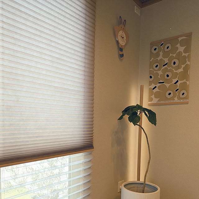 tan5さんの部屋
