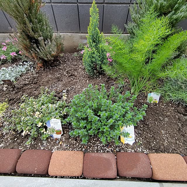 ayan-green.さんの部屋