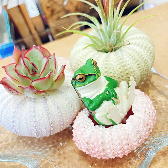 Chomeakiさんの実例写真