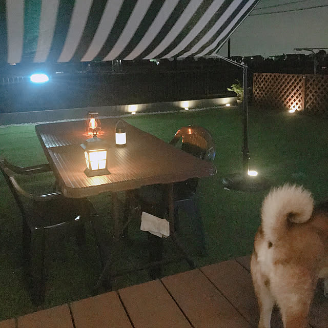 Soraさんの実例写真
