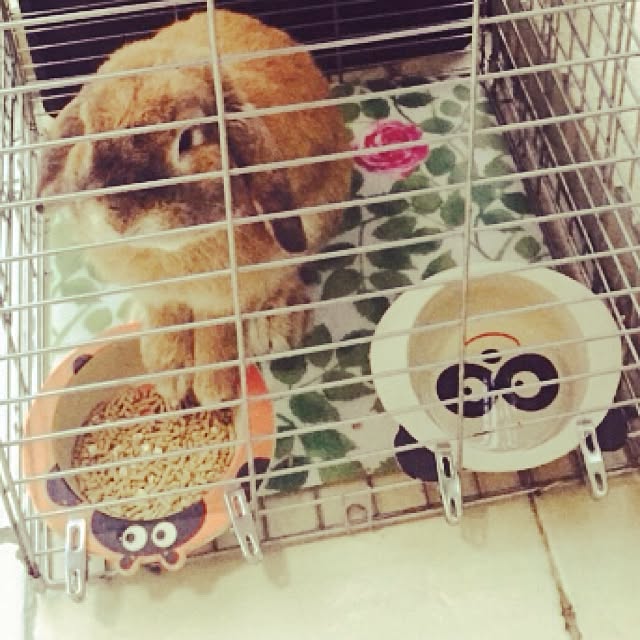 MARIさんの実例写真