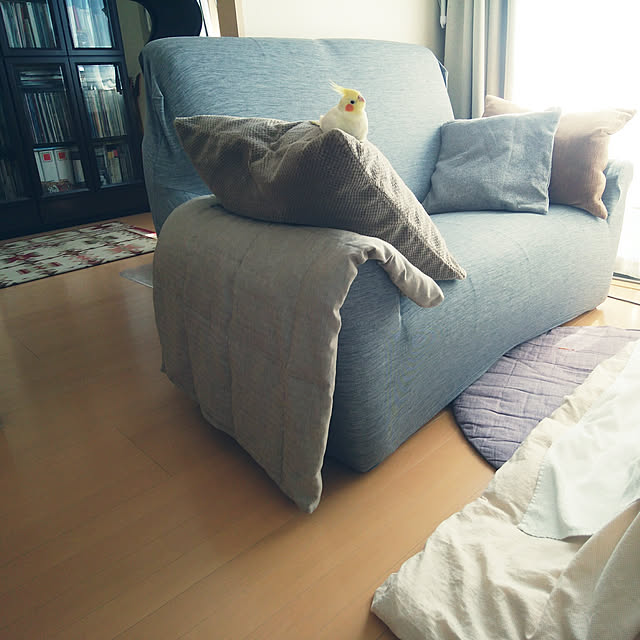 pontaさんの実例写真
