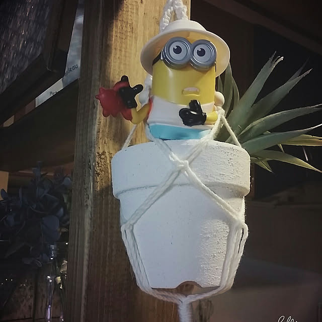 Minaharuさんの実例写真