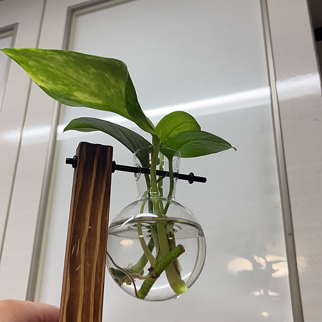mska1114さんの実例写真
