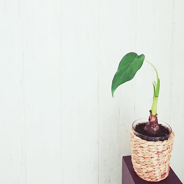 sap.さんの実例写真