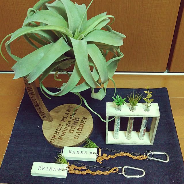 okayanさんの実例写真