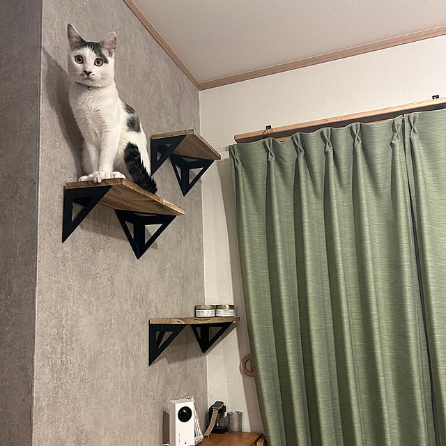 miiiizさんの実例写真