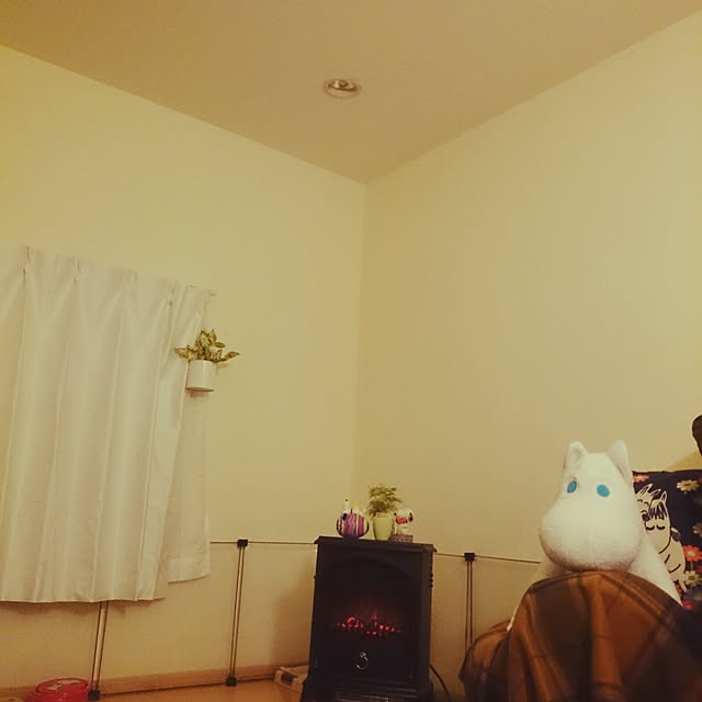 rinmarorinさんの実例写真