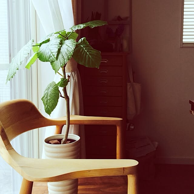 YUKIMさんの実例写真