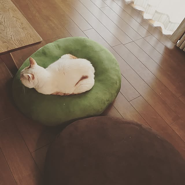 Rettiさんの実例写真