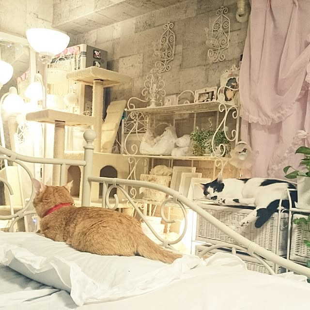 fu-ka24さんの実例写真