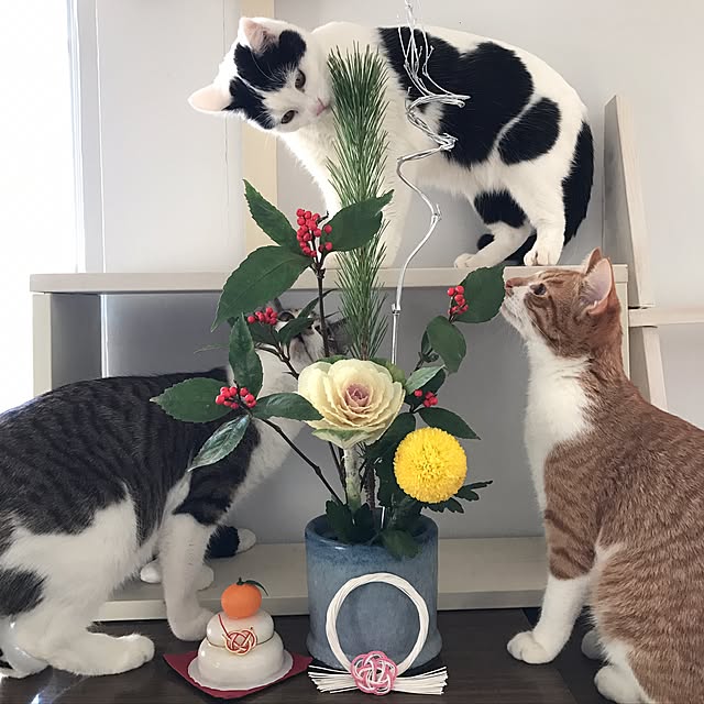 ktnさんの実例写真