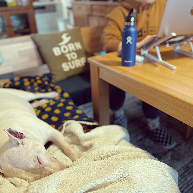 kimuneisanさんの実例写真