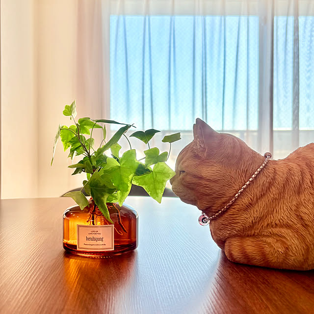 up0524さんの実例写真